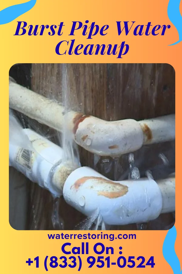 Burst Pipe Water Cleanup in Bergenfield, NJ