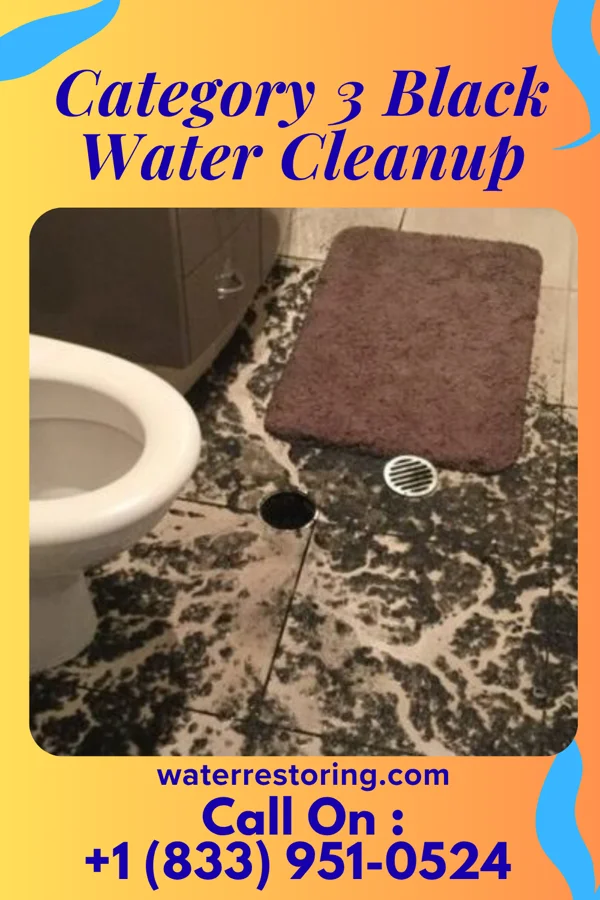 Category 3 Black Water Cleanup in Bergenfield, NJ