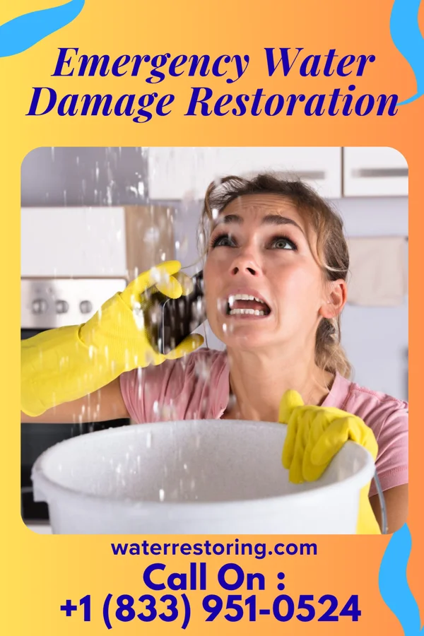 Emergency Water Damage Restoration in Bergenfield, NJ