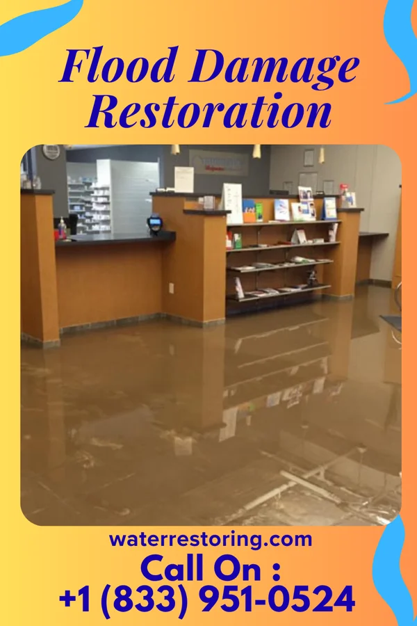 Flood Damage Restoration in Bergenfield, NJ
