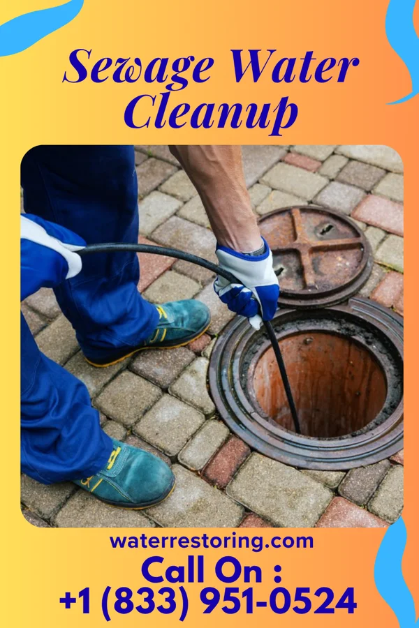 Sewage Water Cleanup in Bergenfield, NJ